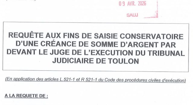 extrait decision saisie conservatoire avant proces